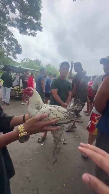 Video from Oweii Gf's post