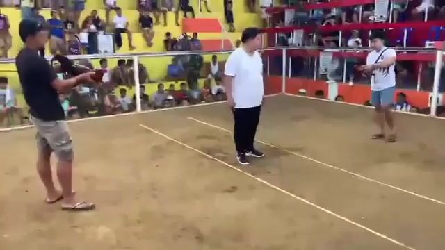 Video from B.BROS 27's post