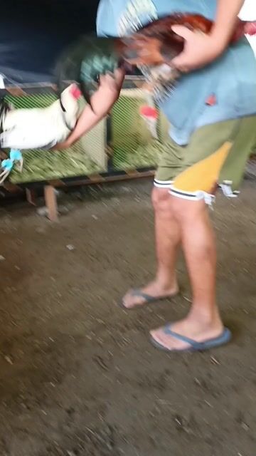 Video from Kris M Mabilanga's post