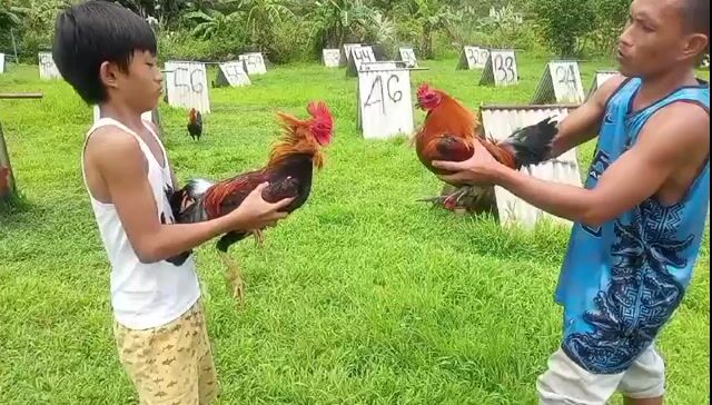 Video from Clyde Jenava Chatima Gamefarm's post