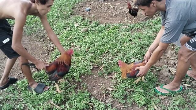 Video from Paul Symon Del Rosario's post
