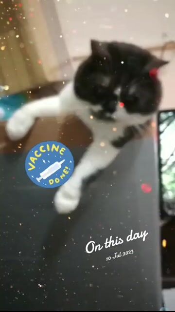 Video from Anes Myrna Felices's post