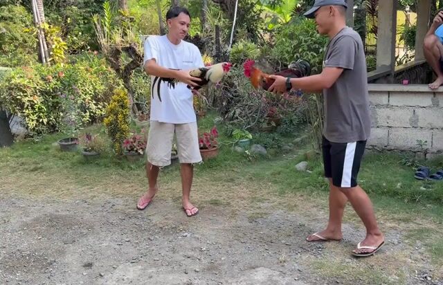 Video from jep bc's post