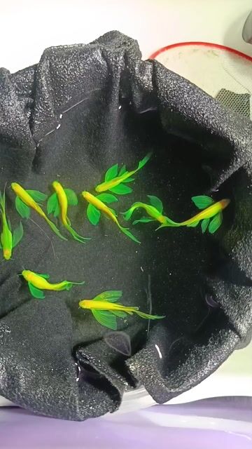 Video from BRYAN NEESON MILLS BACKYARD's post