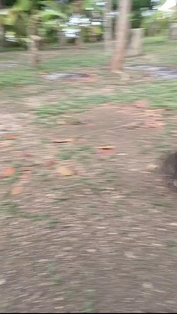 Video from Alejandro's post