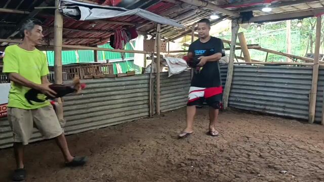 Video from JOROS gamefarm's post