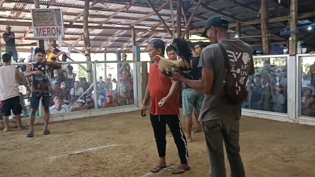 Video from VinVin's post