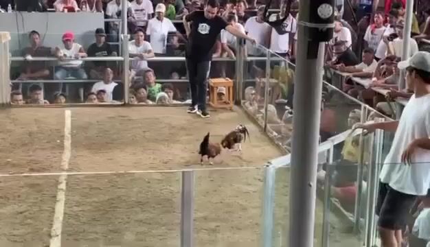 Video from Vash lillo's post