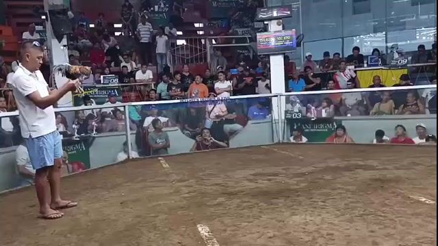 Video from Dominic GF's post