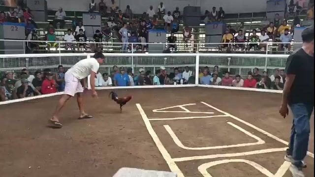 Video from Nhiel Tiu Petiza's post