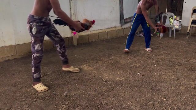 Video from Birada Master's post