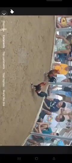 Video from LBR's post