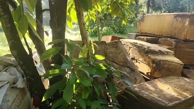 Video from Michael Encina's post