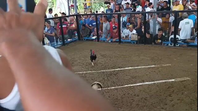 Video from Marco Polo's post