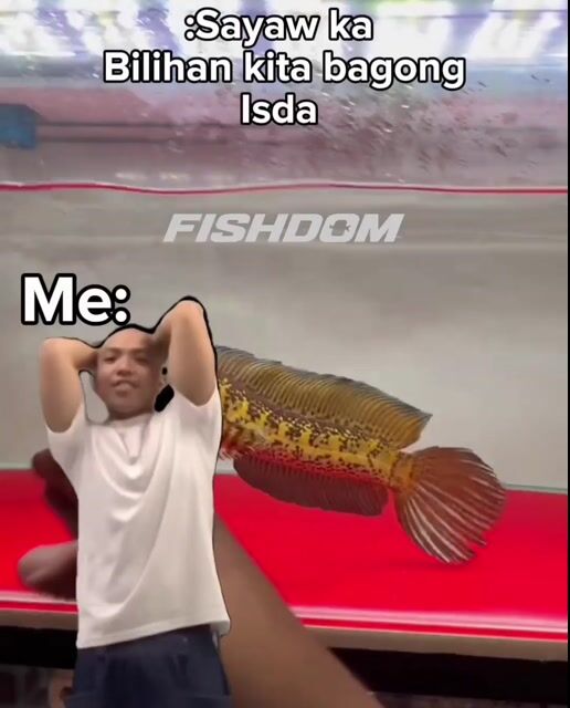 Video from FISHDOM's post