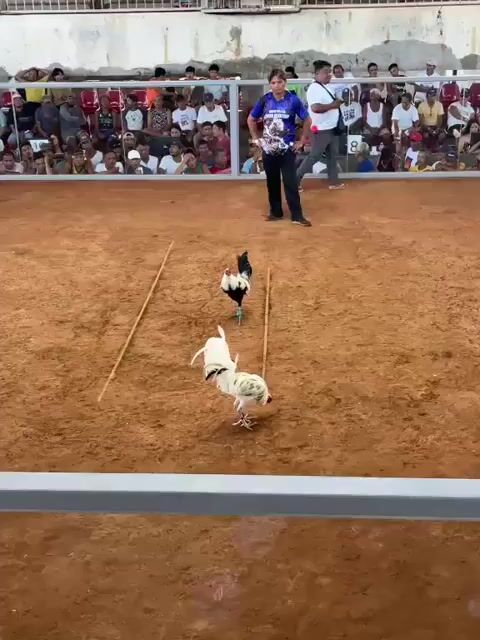 Video from Feller Chicano's post