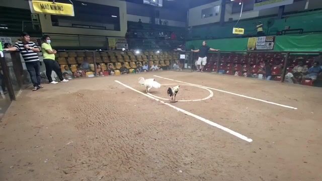 Video from RMC BACKYARD's post