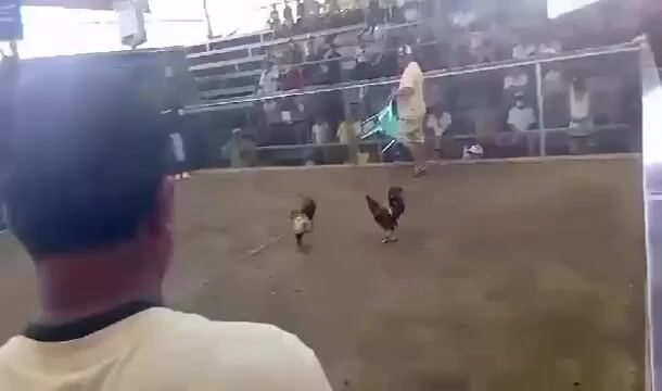 Video from Kenito Ticzon's post