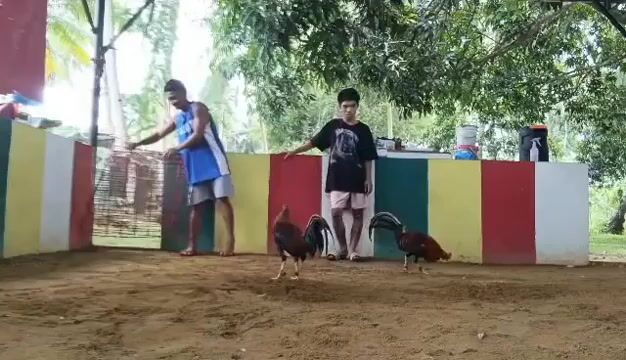 Video from H&M GAMEFARM's post