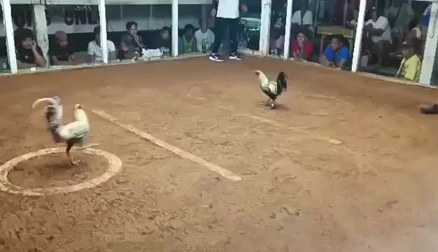 Video from Denver Sadoy's post