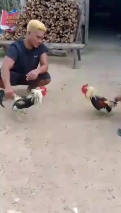 Video from JDN BACKYARD's post