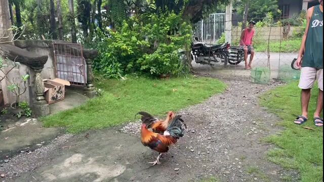 Video from jep bc's post