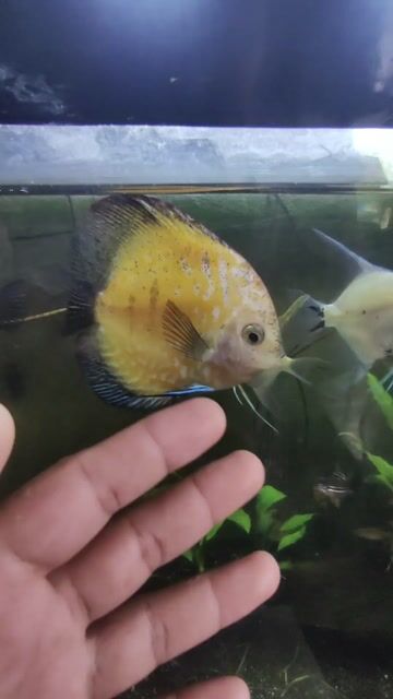 Video from FRESH WATER BACKYARD's post