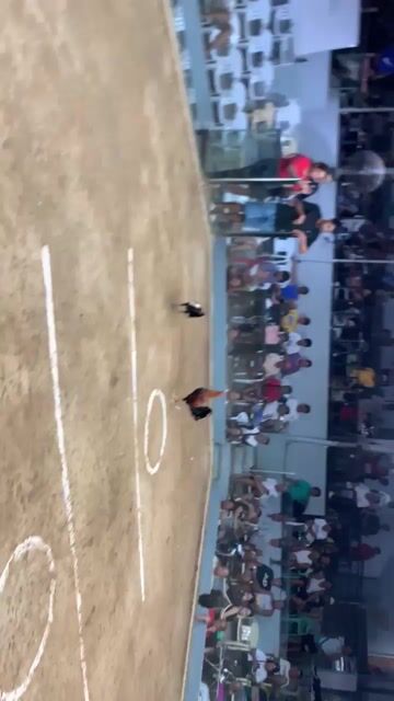 Video from Lyn Labedon's post