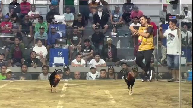 Video from Jerome Campos's post