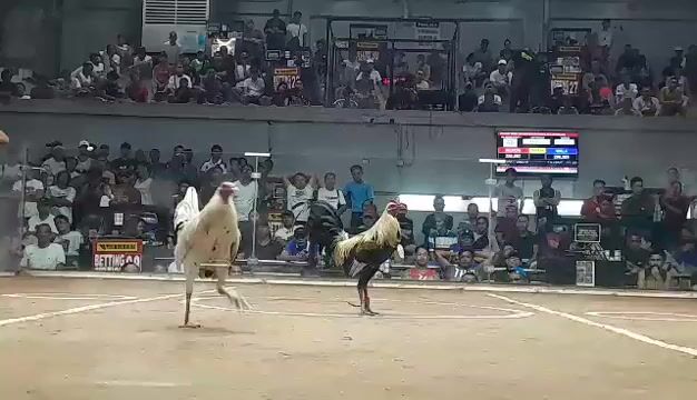 Video from Jon De Veyra's post