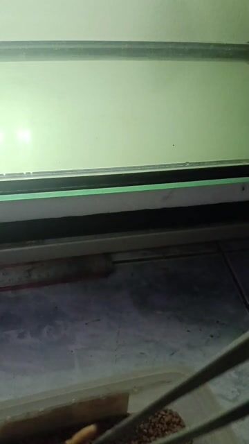 Video from Anthony Salvador's post