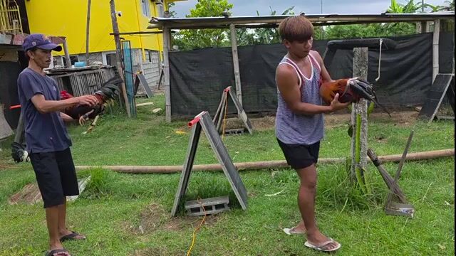 Video from Goedfrey A. Tabila's post