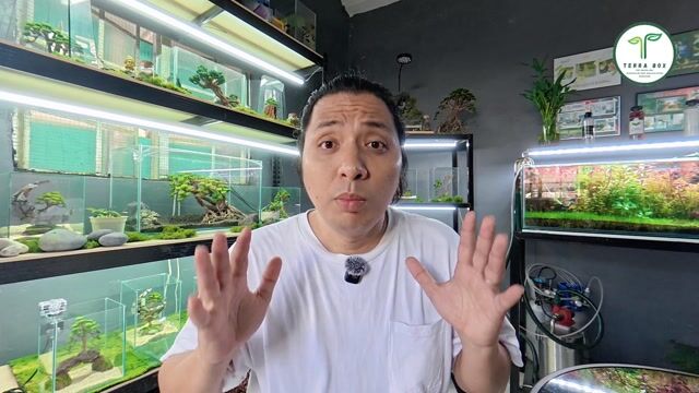 Video from Dale Francis Yu's post