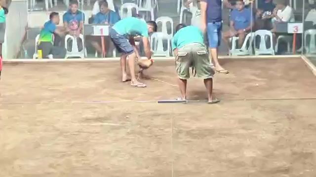 Video from Alvin G. Balala's post