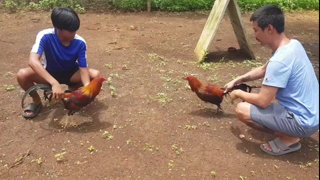 Video from Robie Quebada's post