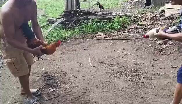 Video from Jaggy Joe's post