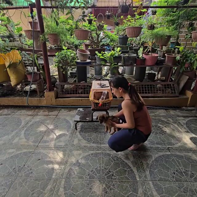 Video from Noel Paguirigan's post
