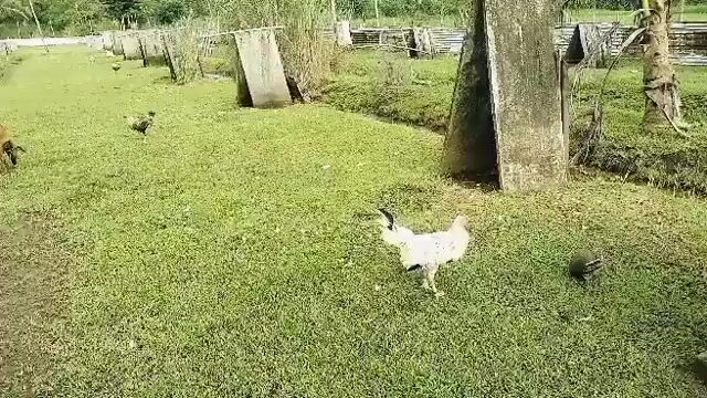 Video from Jowen M. Ramos's post