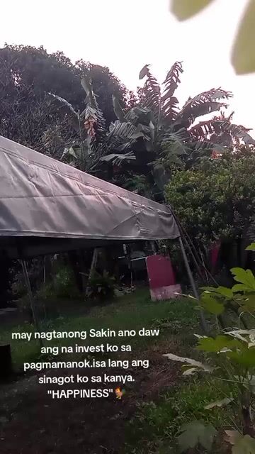 Video from AGP BRIGHT BIRD's post