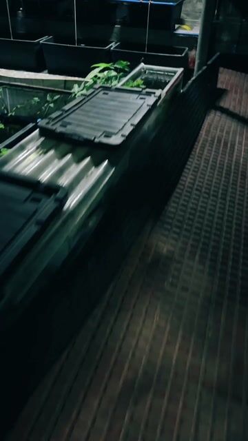 Video from Nj Caguitla's post
