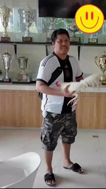 Video from Paulino Ibarra Lozano's post
