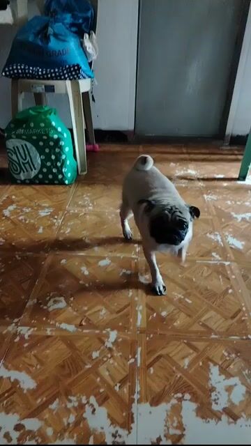 Video from Reydel P. Orense's post