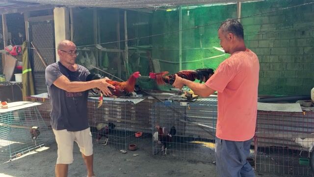 Video from Eldrich Morales's post