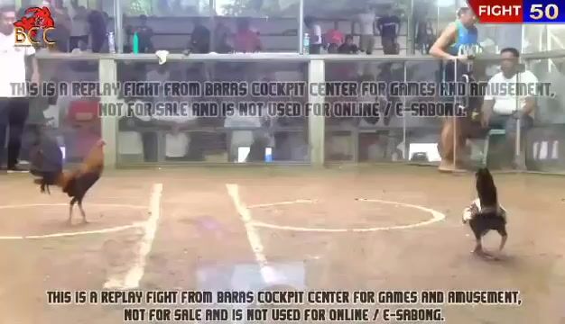 Video from Jilbert B. Delos Santos's post