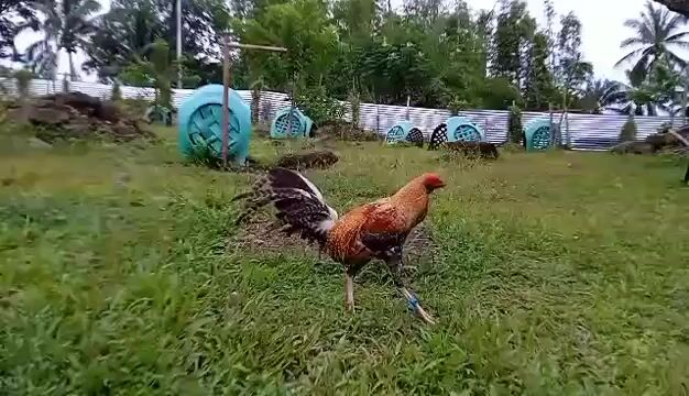 Video from Jun Wayne Faburada's post