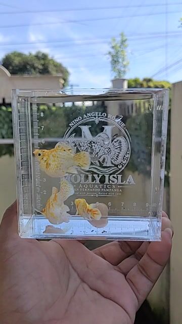 Video from MOLLY ISLA Aquatics's post