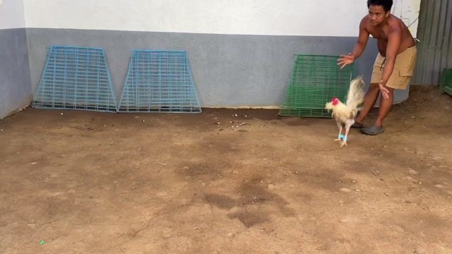 Video from IRONBIRD GAMEFARM🇵🇭's post
