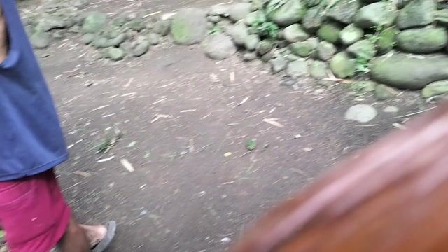 Video from Fernan Race Gamefowl's post