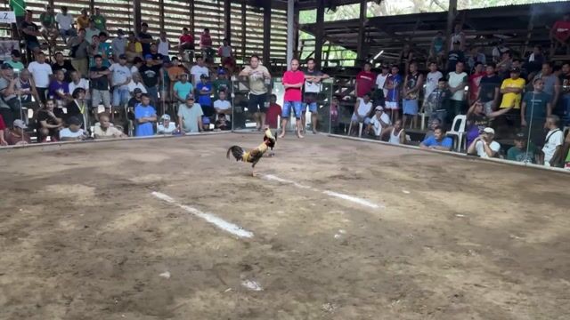 Video from Xylyn Leoj Castro's post