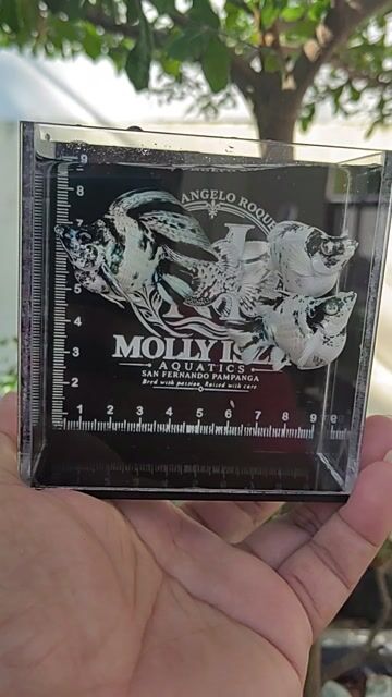 Video from MOLLY ISLA Aquatics's post